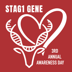 Screen Shot 2024-07-29 at 4.01.56 PM